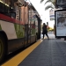 Movilidad concluye las obras de accesibilidad en 23 paradas de autobuses de Elche
