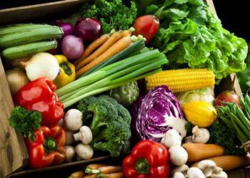 «El futuro representa un gran reto en lo relativo a la alimentación»