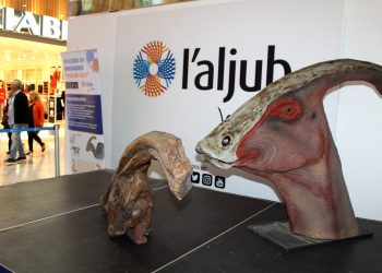 elche-aljub-aniversario-mupe-noviembre-2019-1