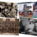 L’Aljub abre la votación para el Premio Especial del Concurso de Investigación Histórica