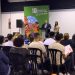 elche-aniversario-gitano-noviembre-2019-1
