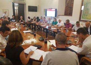 elche-ayuntamiento-consejo-social-presupuesto-julio-2019-4