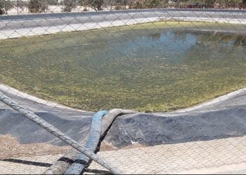 elche-balsas-marzo-2019