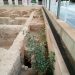 elche-banos-mercat-limpieza-agosto-2019