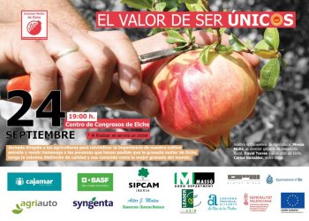 elche-cartel-granada-mollar-septiembre-2019