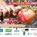elche-cartel-granada-mollar-septiembre-2019