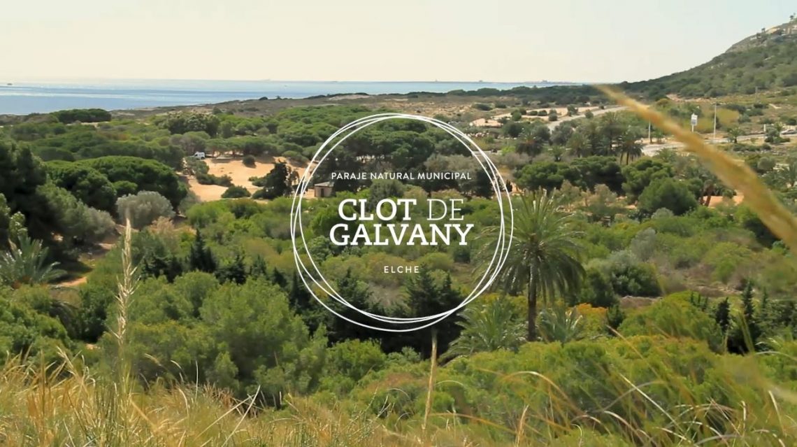 elche-clot-de-galvany-octubre-2019