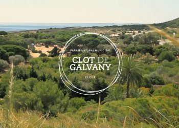 elche-clot-de-galvany-octubre-2019