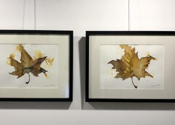 elche-exposicion-espejismos-enero-2020-3