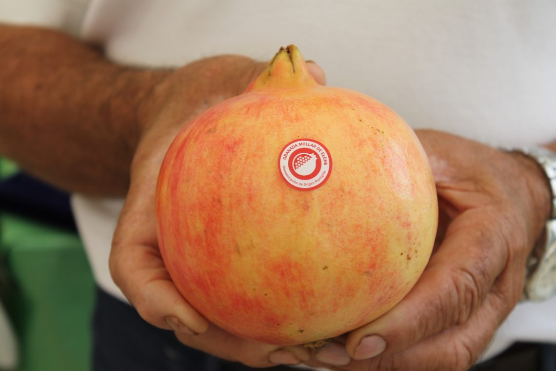 elche-granada-mollar-ideal-octubre-2019