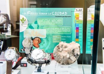 elche-los-fosiles-toman-la-ciudad-abril-2019-3