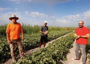 Garantizar el agua de riego es el objetivo de los productores del melón de carrizales