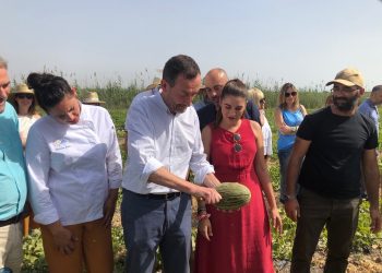 elche-melon-de-carrizales-julio-2019-2