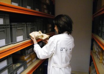 elche-mupe-abril-2019-1