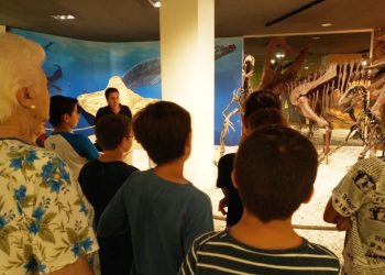 elche-mupe-afae-octubre-2019-2