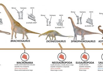 elche-mupe-dinosaurios-abril-2020-4