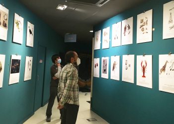 La Muestra ‘Ilustraciencia 7’ llega al MUPE con la Exposición de 40 Obras Científicas