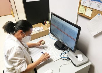 Una nueva subvención de la Diputación impulsa al Museo Paleontológico de Elche