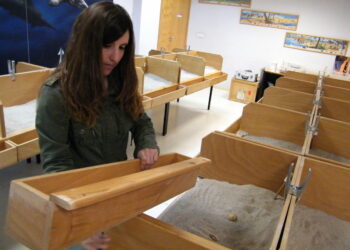 elche-mupe-judit-alumna-practicas-en-didactica-abril-2019