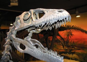 Las visitas al MUPE tras su reapertura en junio se incrementan un 71% entre semana