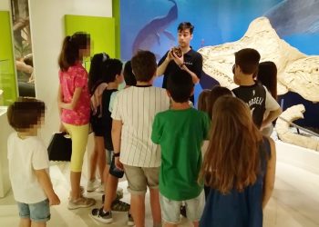 elche-mupe-ninos-con-altas-capacidades-jornadas-junio-2019