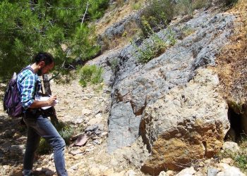 elche-mupe-trabajos-en-el-campo-agosto-2019