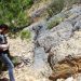 elche-mupe-trabajos-en-el-campo-agosto-2019