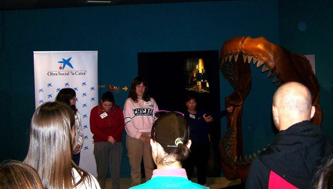 elche-mupe-visita-guiada-diciembre-2019-1