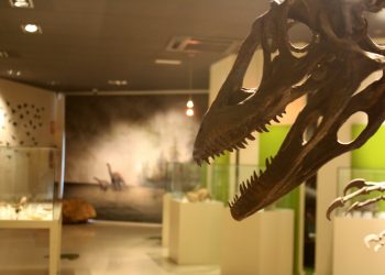 Visitas guiadas gratuitas y reducidas para disfrutar de la ciencia en navidad