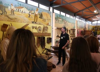 elche-museo-actividades-dim-mayo-2019-1