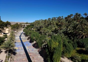 La Generalitat aprueba por primera vez el informe de evaluación ambiental del Plan Especial del Palmeral