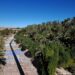 La Generalitat aprueba por primera vez el informe de evaluación ambiental del Plan Especial del Palmeral