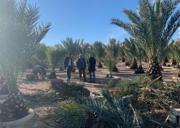 elche-parque-barrio-de-la-universidad-enero-2020-6