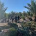 elche-parque-barrio-de-la-universidad-enero-2020-6