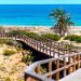 elche-playa-carabassi-junio-2019