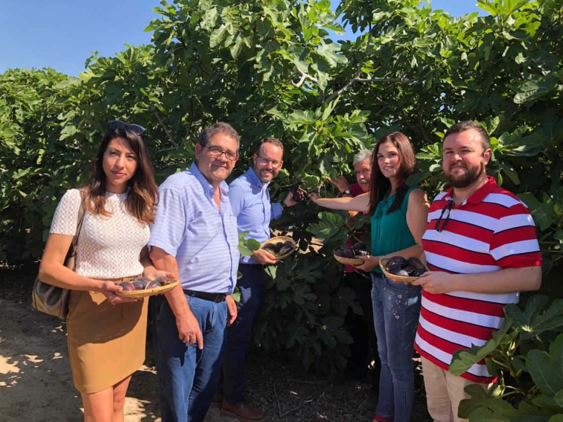 elche-presentacion-brevas-junio-2019-4