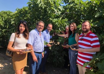 elche-presentacion-brevas-junio-2019-4