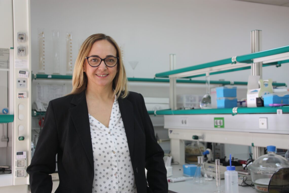 elche-proyecto-azafran-febrero-2019