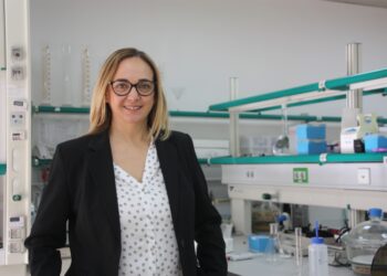 elche-proyecto-azafran-febrero-2019