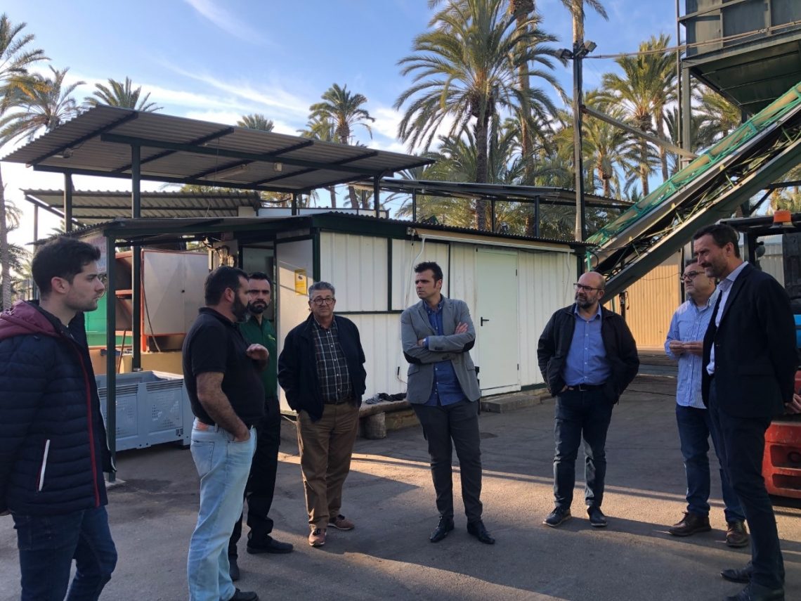 elche-reunion-almazaras-aceite-impulsar-marzo-2020-2