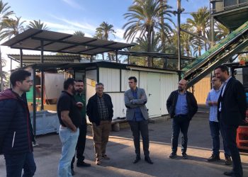 elche-reunion-almazaras-aceite-impulsar-marzo-2020-2