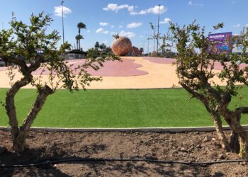 elche-rotonda-nueva-regantes-homenaje-trasvase-marzo-2019-3