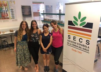 elche-umh-concurso-interpretacion-suelo-julio-2019