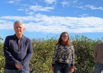 Los tres investigadores en Tecnología de los Alimentos más citados del mundo están en la UMH