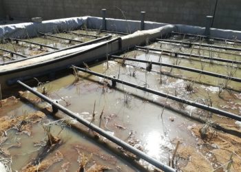 La UMH realiza un proyecto ambiental de cooperación al desarrollo en Senegal