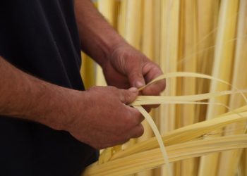 Elche, ciudad blanca