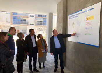 elche-visita-san-anton-6