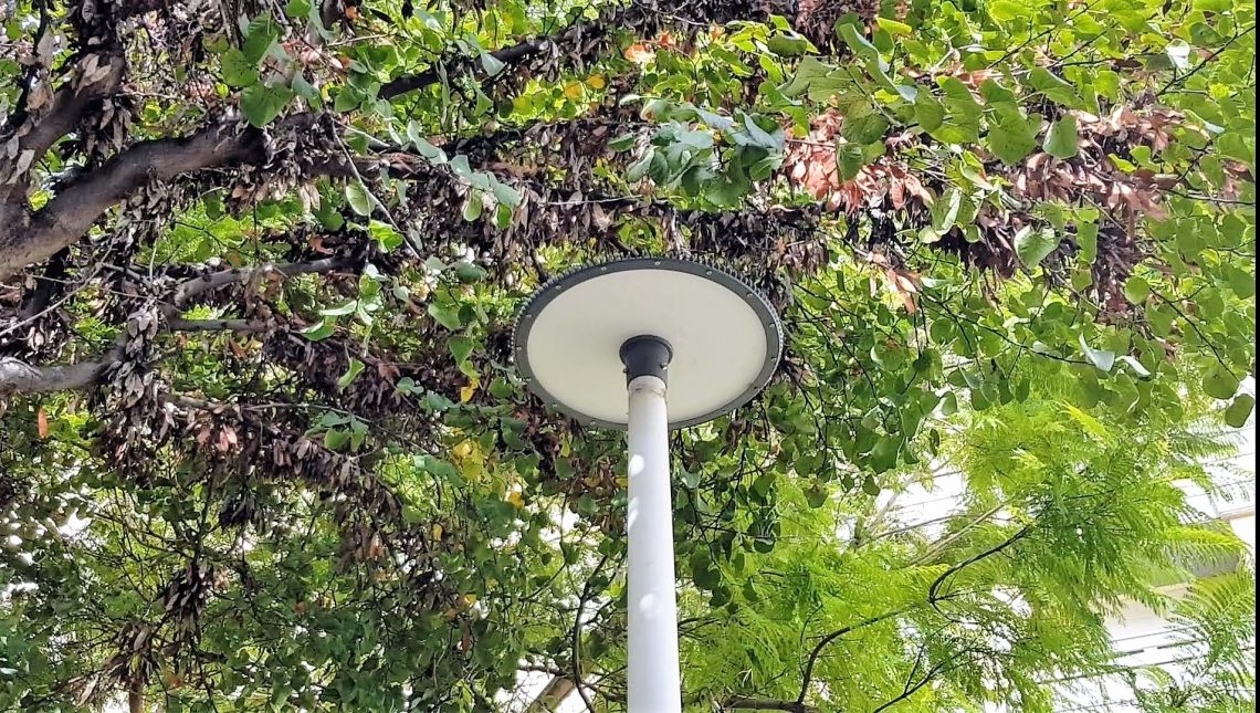 elda-cambio-iluminacion-parque-caballero-octubre-2019-1