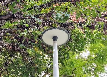 elda-cambio-iluminacion-parque-caballero-octubre-2019-1