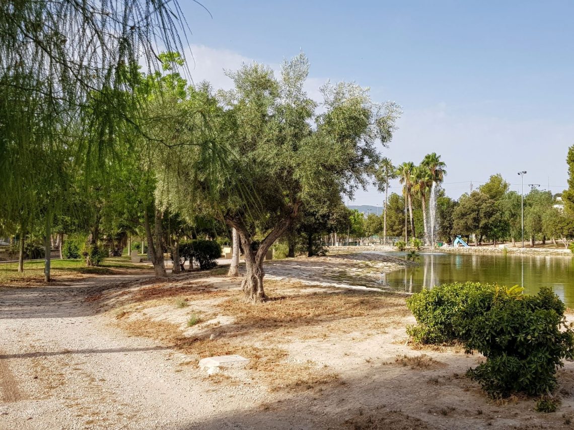 elda-circuito-vinalopo-agoto-2019-2